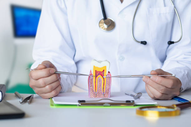 Best After-Hours Emergency Dentist in Garland, NC
